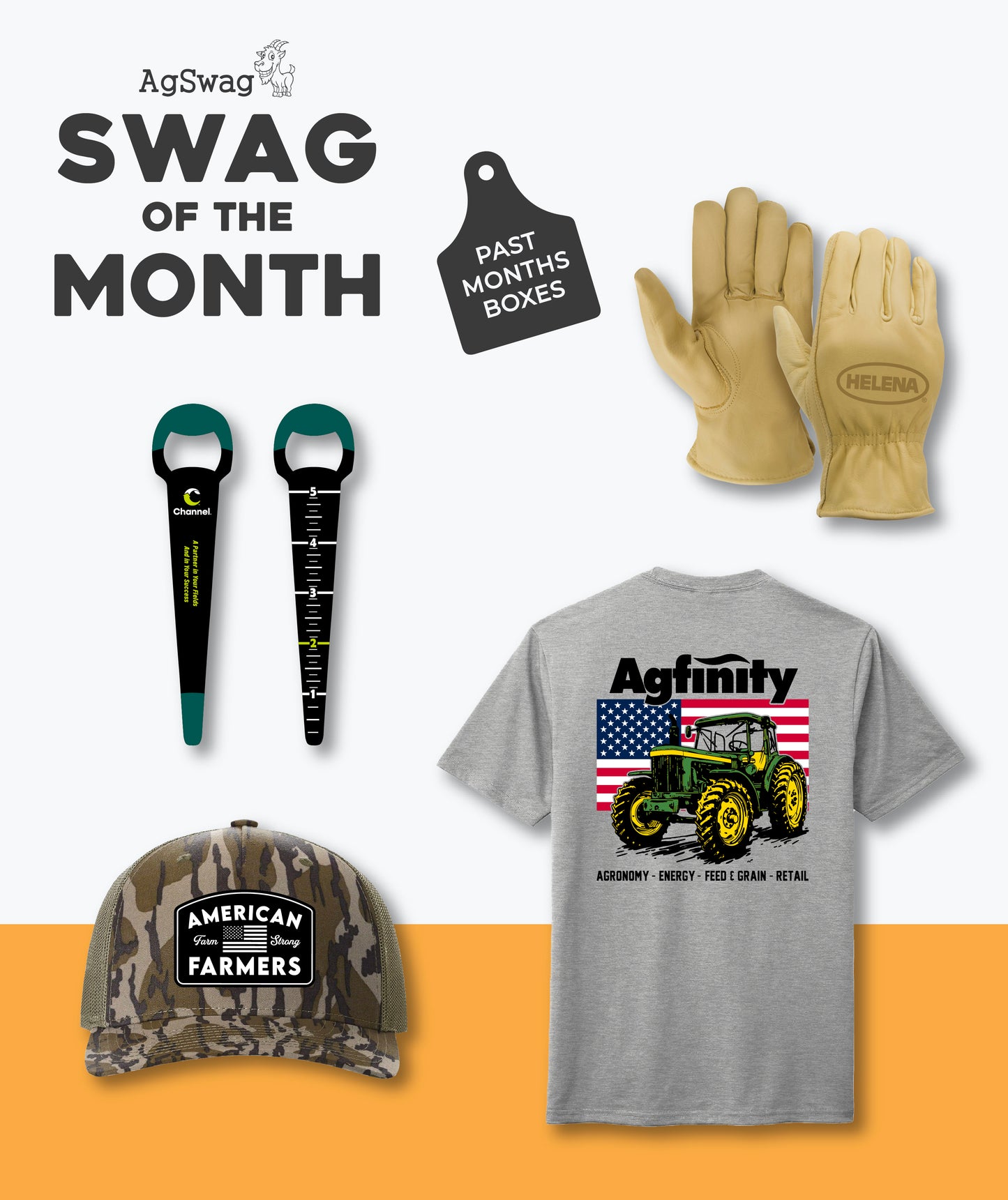 Swag of the Month