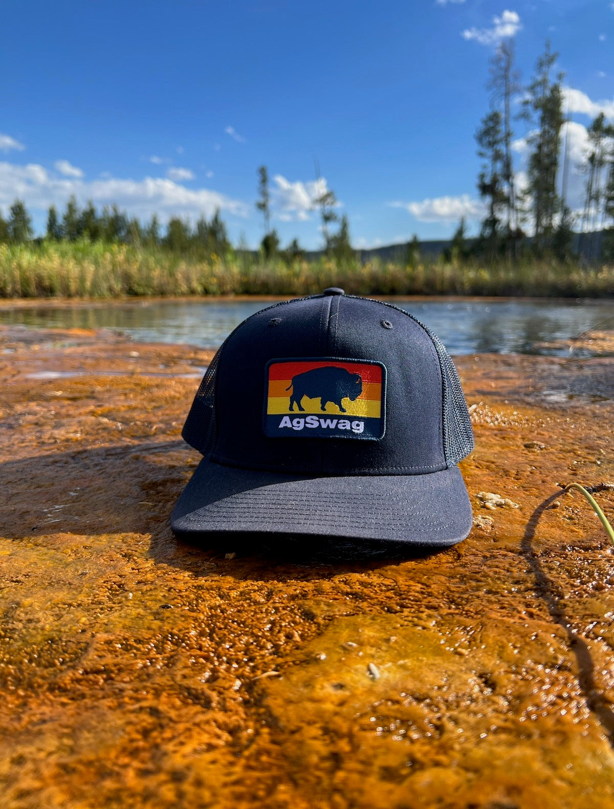 Buffalo Patch Hat